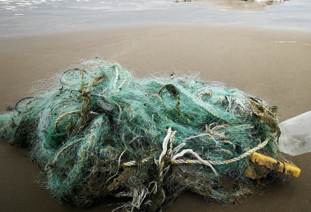 KEEP YOUR FEET DRY AND THE OCEAN CLEAN!