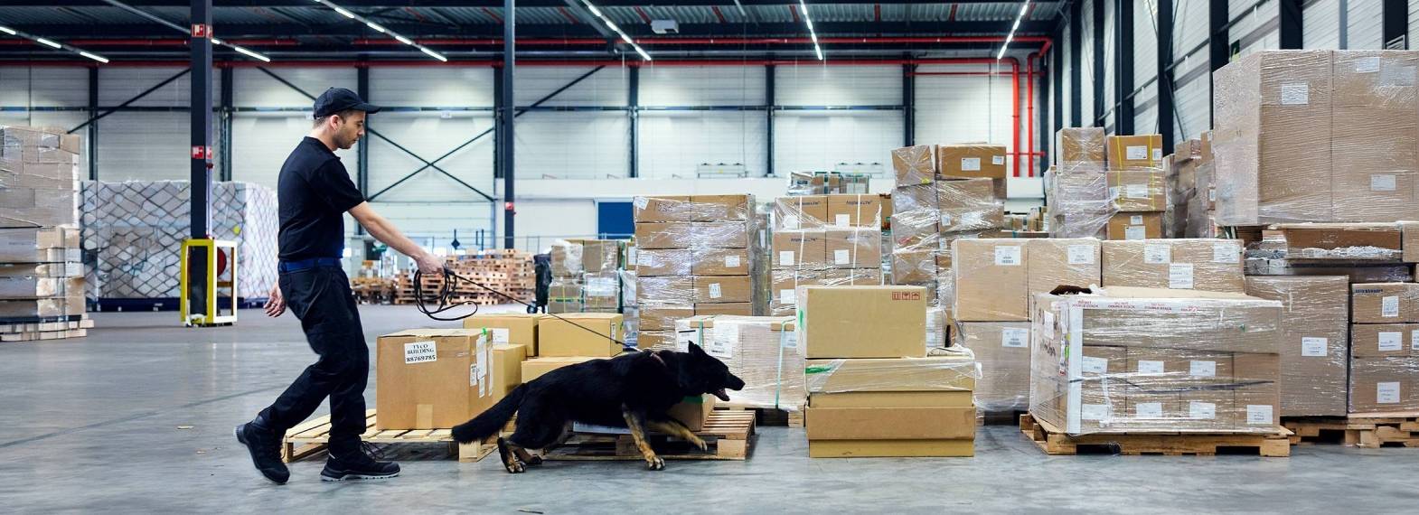 Afbeelding van EMMA Safety Footwear