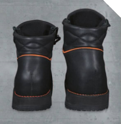 Ortho Nordic